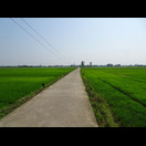 Die letzten Kilometer nach Hoi An fuhren wir über schmale Wege